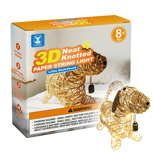 CHARTEKS 3D String Art Kit for Adults Kids, DIY Dachshund Dog Lamp Project with LED Lights, Light Up Paper String Animal Craft, Creative Sausage Dog Gifts for Women Teens Home Decor Family Activity