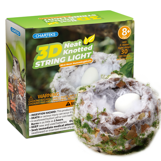 CHARTEKS Bird Nest Craft Kit with LED String Lights - DIY Nature Arts and Crafts STEM Project for Kids & Adults, Creative Home Decor Gift for Boys Girls Ages 8-12 (Hummingbird)