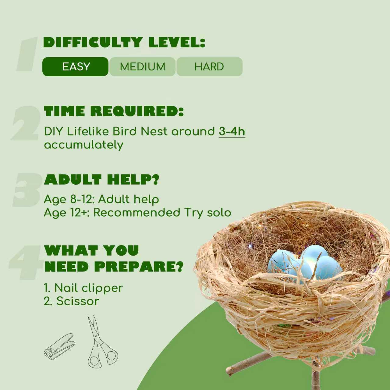 CHARTEKS DIY Bird Nest Craft Kit with 30 Twinkle LEDs and Simulated Eggs – Natural String Art Set for Home Décor, Kids STEM Toy, Creative Birthday Gift for Boys Girls Age 8+ (Robin)