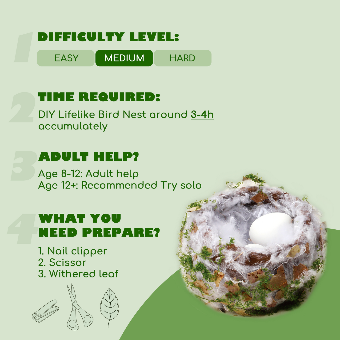 CHARTEKS Bird Nest Craft Kit with LED String Lights - DIY Nature Arts and Crafts STEM Project for Kids & Adults, Creative Home Decor Gift for Boys Girls Ages 8-12 (Hummingbird)