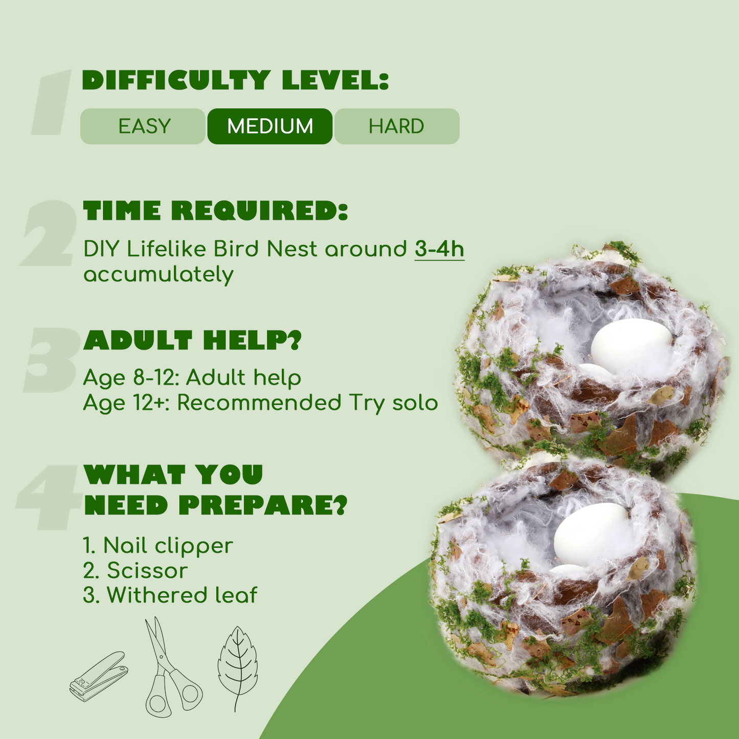 CHARTEKS Bird Nest Craft Kit with LED String Lights - DIY Nature Arts and Crafts STEM Project for Kids & Adults, Creative Home Decor Gift for Boys Girls Ages 8-12 (Hummingbird SNL)