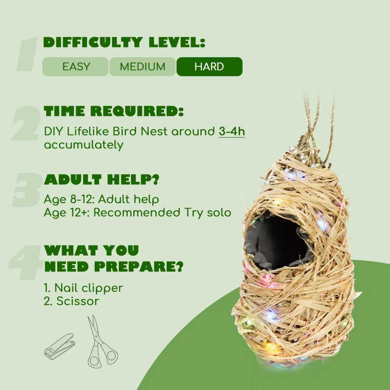 CHARTEKS Bird Nest Craft Kit with LED String Lights - DIY Nature Arts and Crafts STEM Project for Kids & Adults, Creative Home Decor Gift for Boys Girls Ages 8-12 (Oriole)