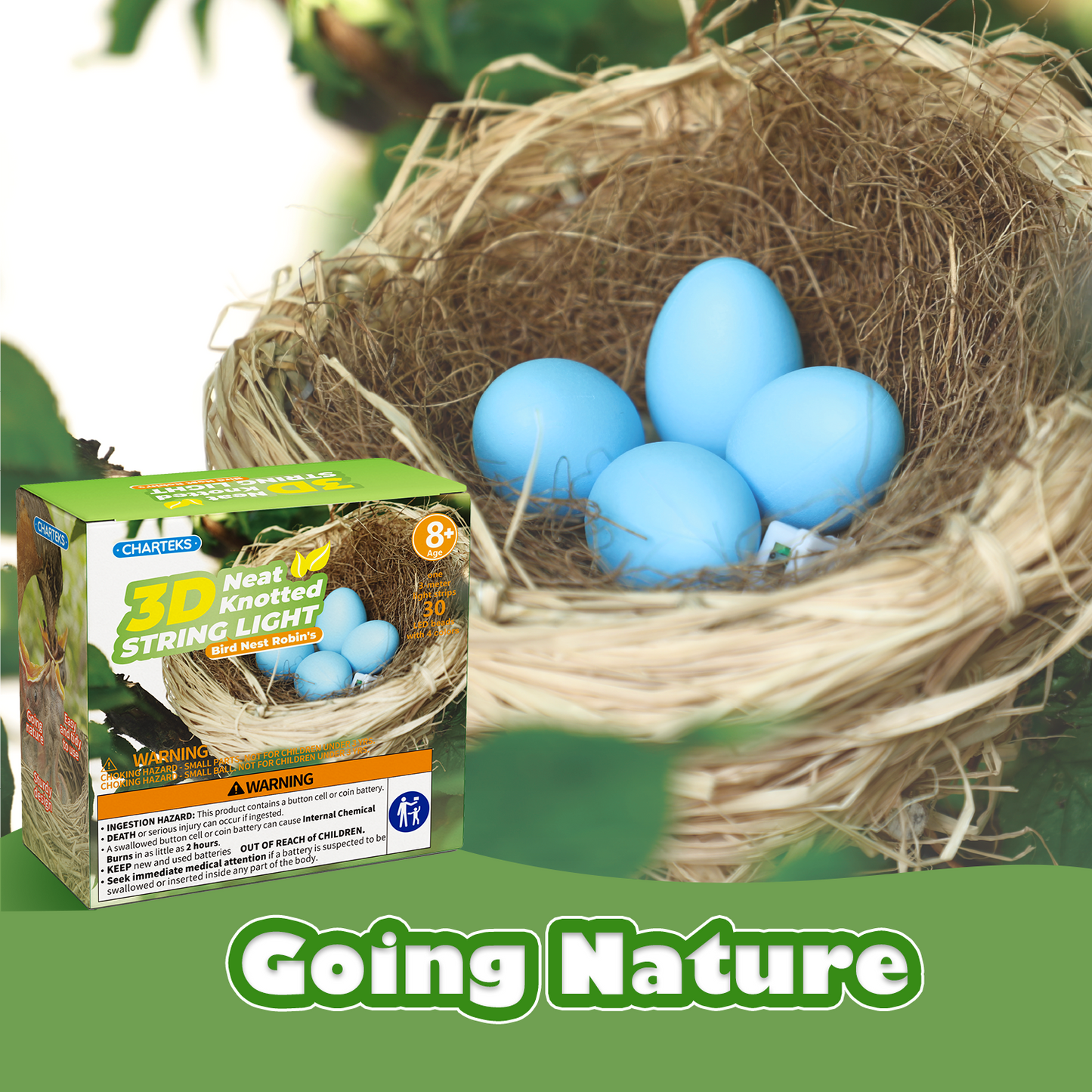 CHARTEKS DIY Bird Nest Craft Kit with 30 Twinkle LEDs and Simulated Eggs – Natural String Art Set for Home Décor, Kids STEM Toy, Creative Birthday Gift for Boys Girls Age 8+ (Robin)