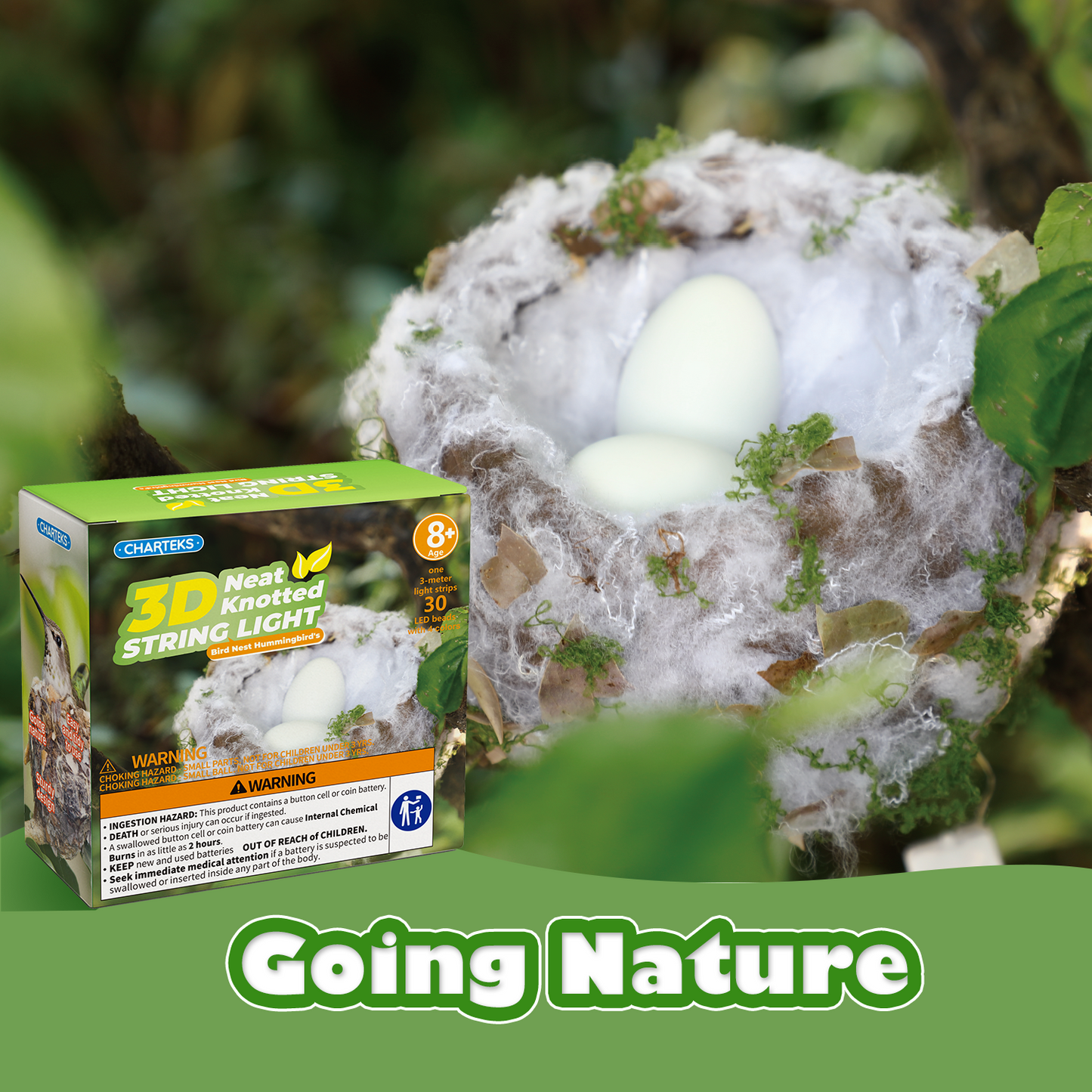 CHARTEKS Bird Nest Craft Kit with LED String Lights - DIY Nature Arts and Crafts STEM Project for Kids & Adults, Creative Home Decor Gift for Boys Girls Ages 8-12 (Hummingbird)