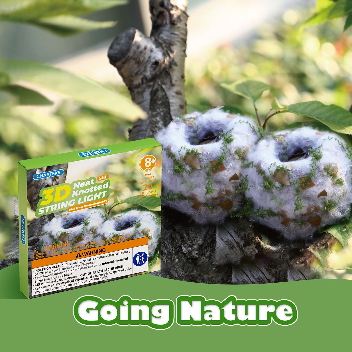 CHARTEKS Bird Nest Craft Kit with LED String Lights - DIY Nature Arts and Crafts STEM Project for Kids & Adults, Creative Home Decor Gift for Boys Girls Ages 8-12 (Hummingbird SNL)