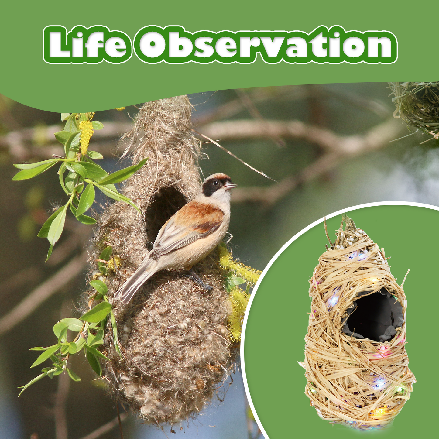 CHARTEKS Bird Nest Craft Kit with LED String Lights - DIY Nature Arts and Crafts STEM Project for Kids & Adults, Creative Home Decor Gift for Boys Girls Ages 8-12 (Oriole)